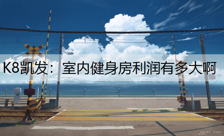 K8凯发：室内健身房利润有多大啊