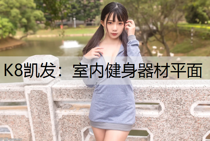 K8凯发：室内健身器材平面