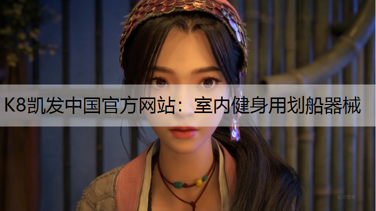 K8凯发中国官方网站：室内健身用划船器械