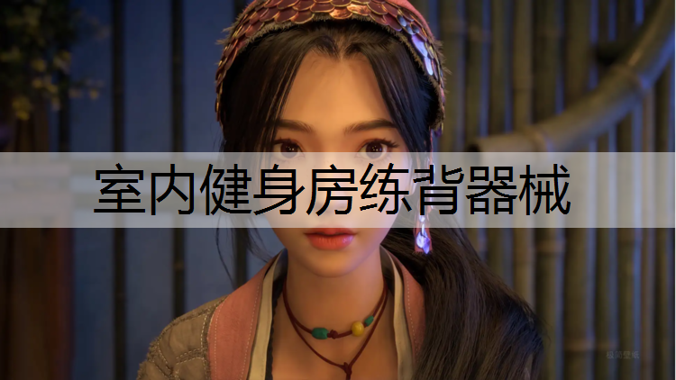 室内健身房练背器械