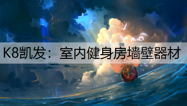 K8凯发：室内健身房墙壁器材