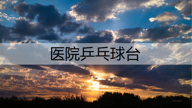 医院乒乓球台