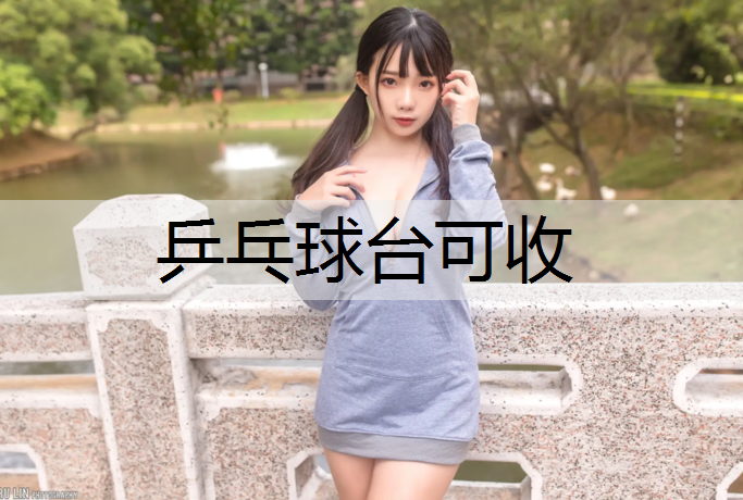 乒乓球台可收