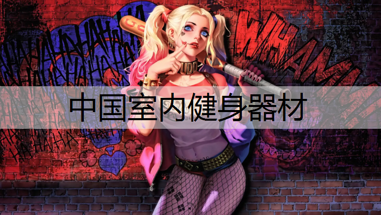 中国室内健身器材