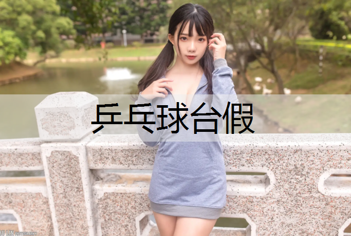 乒乓球台假