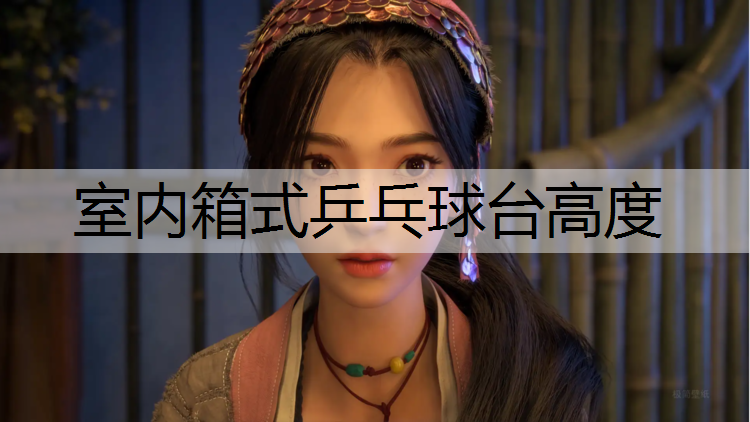 室内箱式乒乓球台高度