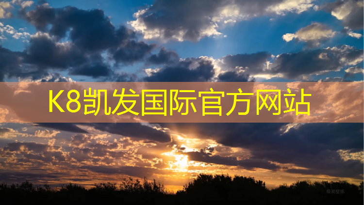 K8凯发国际官方网站：跆拳道护具设计说明