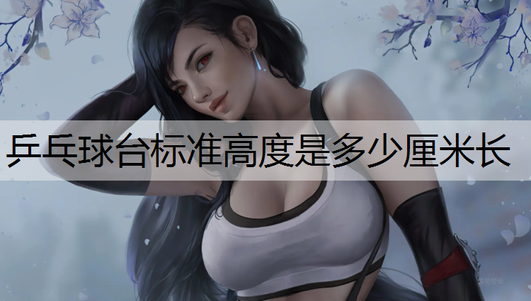 乒乓球台标准高度是多少厘米长