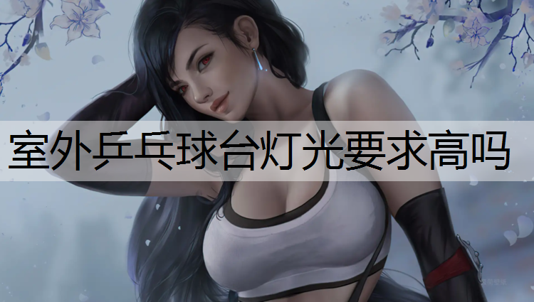 室外乒乓球台灯光要求高吗