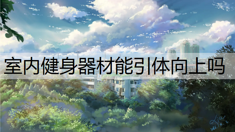 室内健身器材能引体向上吗
